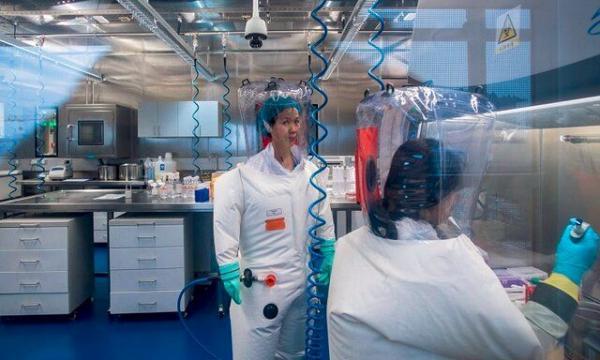 ادعای تازه دو دانشمند آمریکایی درباره ویروس کرونا