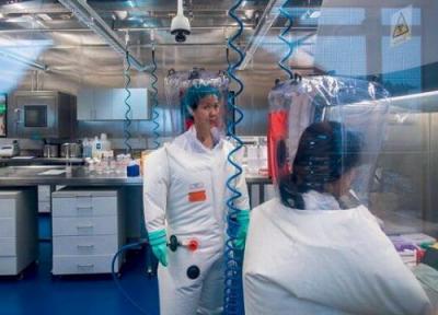 ادعای تازه دو دانشمند آمریکایی درباره ویروس کرونا