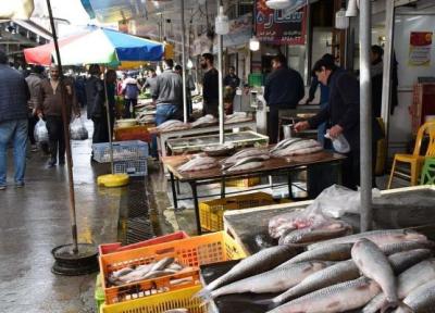 مصرف ماهی 50 درصد کاهش پیدا کرد، نرخ بعضی از ماهی های صیدی به 800 هزار تومان رسید